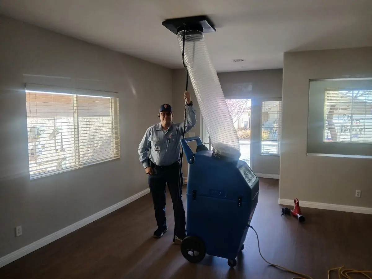 Professional Dryer Vent Cleaning work inside a Willis home